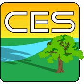 CES Logo 2013